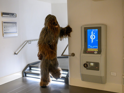 Star Wars character Chewbacca is photographed at a Disney Resort.