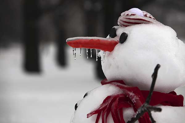 A snowman melts with icicles falling from his carrot nose. Happy Holidays from NYTLicensing.